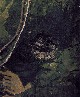 Letecký pohled svislý r. 1994