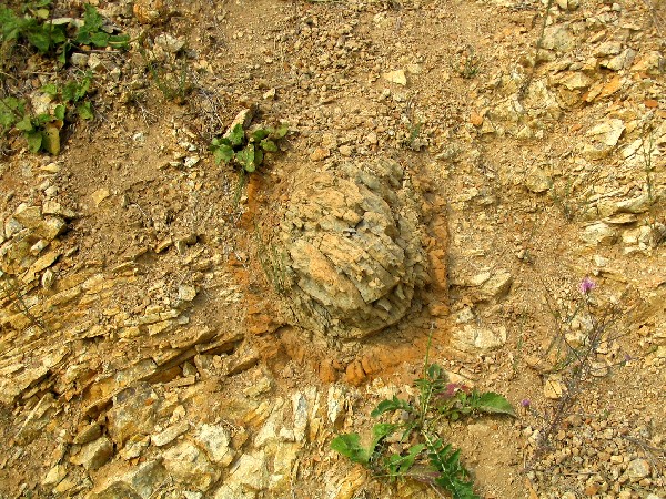 Xenolit alterovan kdov horniny (slnovce) ve vulkanick brekcii.