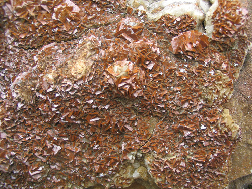 Povlaky a vpln puklin v kdovch xenolitech tvo minerl dolomit v krystalech a 0,5 cm velkch.