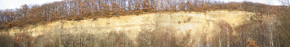 Stna pskovny ve trbicch v lednu  2003. Vskyty ediovch tles jsou v prav - zpadn sti stny. Tmav vrstvy - uhelnat jly.