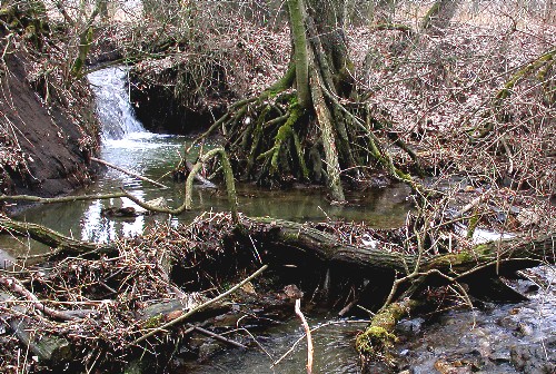 Msty potok na he rozplavitelnch deskch tufu vytv i mal vodopdky a dramatick zkout s padlmi stromy.