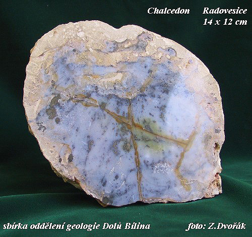 tento agregt chalcedonu vznikl rozputnm a optovnou krystalizac kemiitch jehlic moskch druhohornch hub ve svrchnoturonskch slnovcch