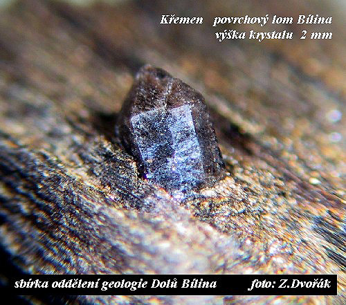 tento krystal se vytvoil bhem mineralizace tetihornho deva, proto obsahuje mnoho uzavenin organick hmoty