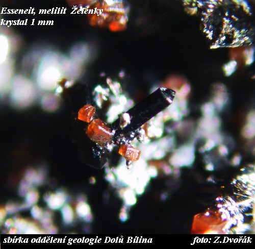 ern sloupekov krystaly esseneitu vznikly podobn jako hnd krystaly melilitu tepelnm pepracovnm jlovch minerl bhem prodnch por uheln sloje 
