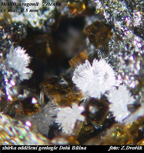 hndav krystalky melilitu vznikly tepelnm pepracovnm jlovch minerl bhem prodnho vyhoen uheln sloje, bl aragonitov drziky jsou spojeny s nslednmi procesy 
